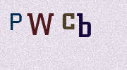 Visual Confirmation Security Code