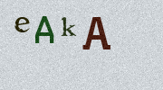 Visual Confirmation Security Code