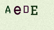 Visual Confirmation Security Code