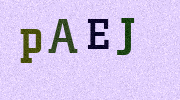 Visual Confirmation Security Code