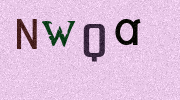 Visual Confirmation Security Code