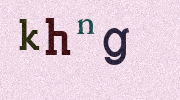 Visual Confirmation Security Code