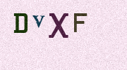 Visual Confirmation Security Code