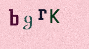Visual Confirmation Security Code