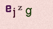 Visual Confirmation Security Code