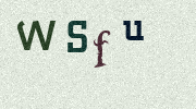 Visual Confirmation Security Code
