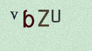 Visual Confirmation Security Code