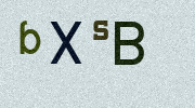 Visual Confirmation Security Code
