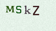 Visual Confirmation Security Code
