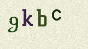 Visual Confirmation Security Code