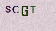 Visual Confirmation Security Code