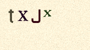 Visual Confirmation Security Code