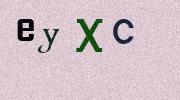 Visual Confirmation Security Code