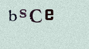 Visual Confirmation Security Code