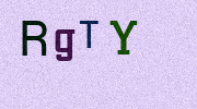 Visual Confirmation Security Code