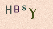 Visual Confirmation Security Code