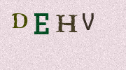Visual Confirmation Security Code