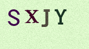 Visual Confirmation Security Code