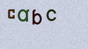 Visual Confirmation Security Code