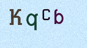 Visual Confirmation Security Code