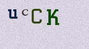 Visual Confirmation Security Code