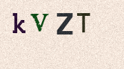 Visual Confirmation Security Code