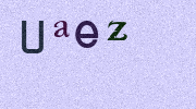 Visual Confirmation Security Code