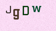 Visual Confirmation Security Code