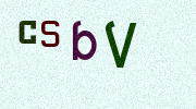 Visual Confirmation Security Code