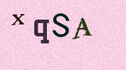 Visual Confirmation Security Code