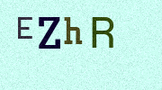 Visual Confirmation Security Code