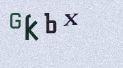 Visual Confirmation Security Code