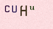 Visual Confirmation Security Code