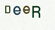 Visual Confirmation Security Code