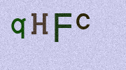 Visual Confirmation Security Code