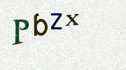 Visual Confirmation Security Code