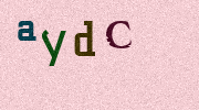 Visual Confirmation Security Code