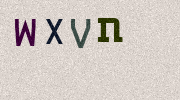 Visual Confirmation Security Code