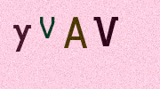 Visual Confirmation Security Code