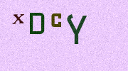 Visual Confirmation Security Code