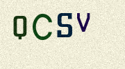 Visual Confirmation Security Code