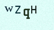 Visual Confirmation Security Code