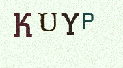 Visual Confirmation Security Code