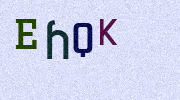 Visual Confirmation Security Code