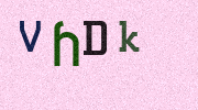 Visual Confirmation Security Code
