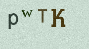 Visual Confirmation Security Code