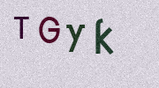 Visual Confirmation Security Code