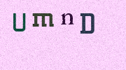 Visual Confirmation Security Code