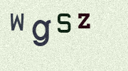 Visual Confirmation Security Code