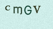 Visual Confirmation Security Code